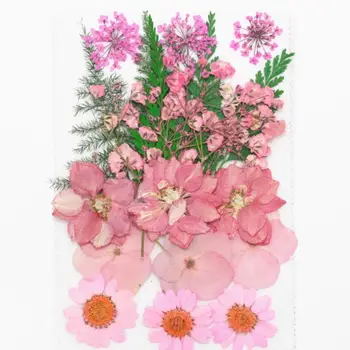 1 Nustatyti Mišrūs Džiovinti Paspaudus Gėlių+ Lapų Augalų Herbariumas Papuošalai Atvirukas Foto Rėmelis Telefono dėklas Padaryti 