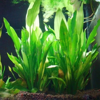 Dirbtinės Plastikinės Vandens Augalų Žolės Akvariumas Deco Augalų, Žuvų Bakas Žolės Gėlių Ornamentu Dekoro Vandens Priedai