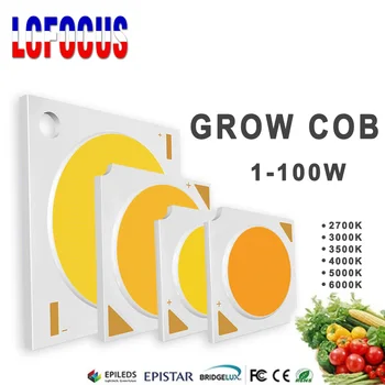 Hydroponice 3W 5W 10W 20W 30W 50W 100W COB LED Grow Light Chip Visą Spektrą 400-840nm Kambarinių Augalų Daigų Auginimas Gėlių